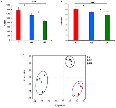 Multi-Omics Analysis Reveals a Dependent Relationship Between Rumen Bacteria and Diet of Grass- and Grain-Fed Yaks